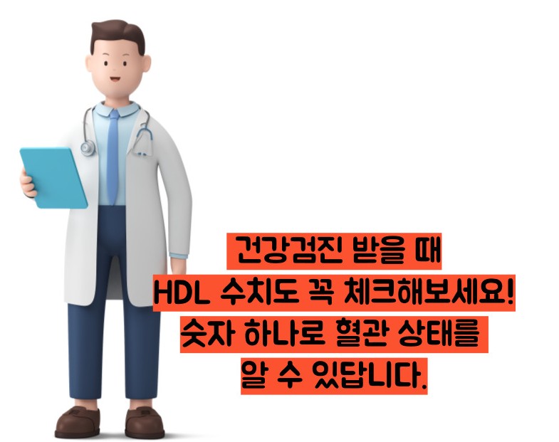 hdl콜레스테롤 정상수치