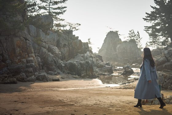 헤어질 결심 (6)