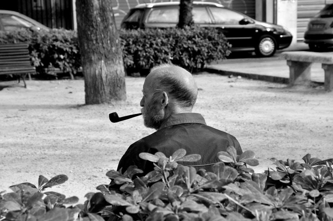 Hedge.