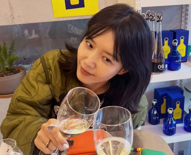 채정안 유튜브 채널