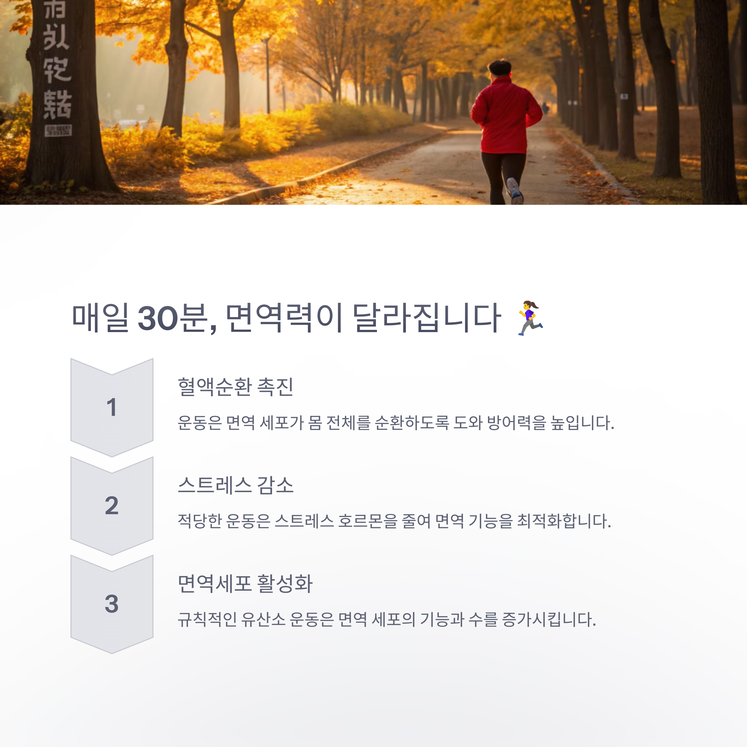 매일 운동 30분