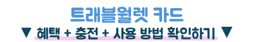 일본여행-트래블카드-추천-트래블로그-쏠트래블-트래블월렛