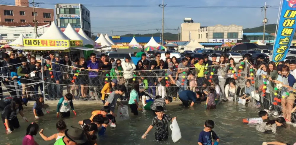 맨손 대하 체험하는 사람들 2