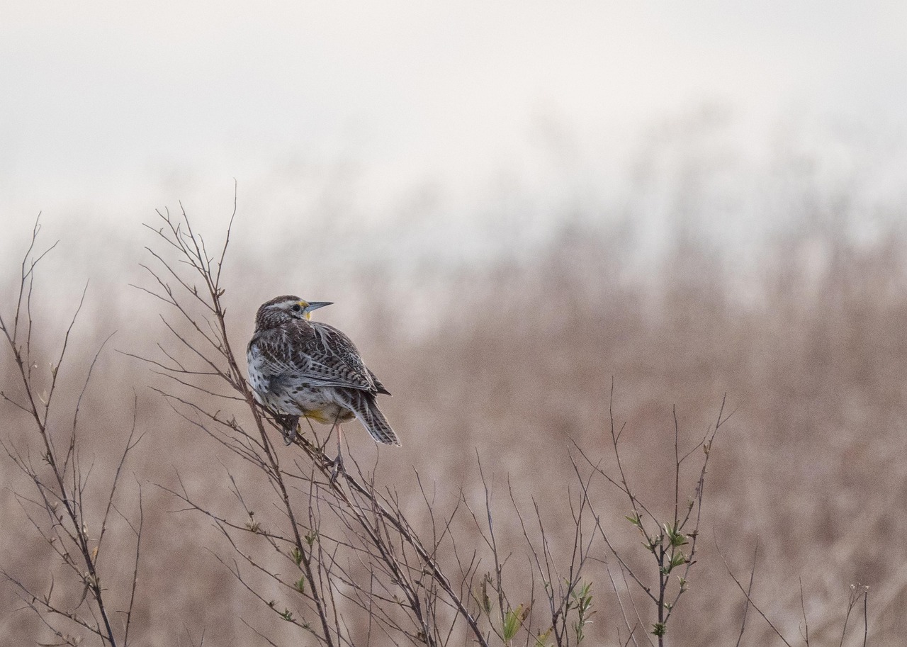 퇴직연금 일시금 수령방법&amp;#44; 세금 구조와 절차 알아보기