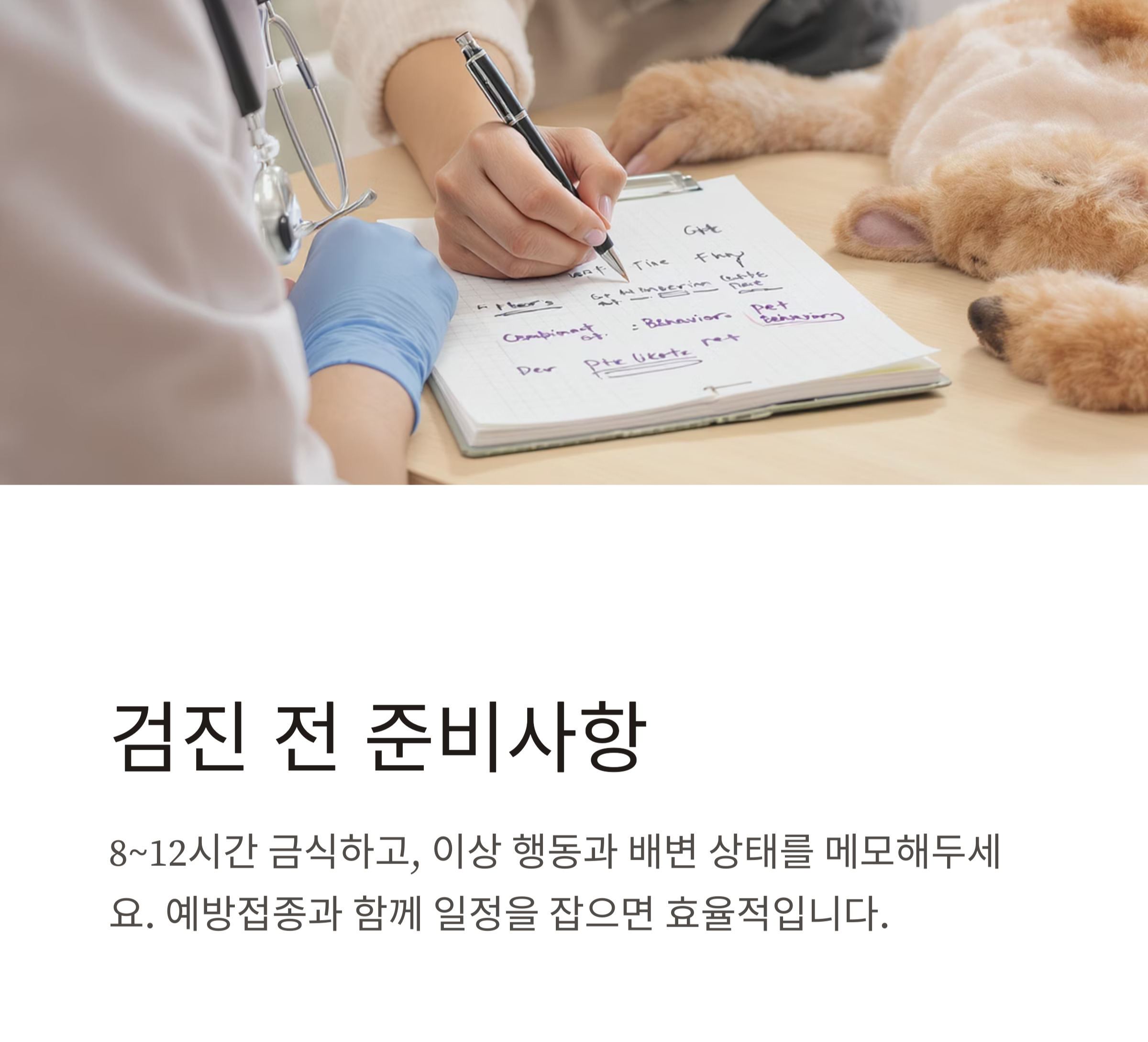 반려동물 건강검진, 꼭 받아야 하는 이유와 적정 주기