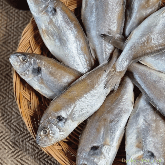 단백질이 풍부한 백조기(보구치)