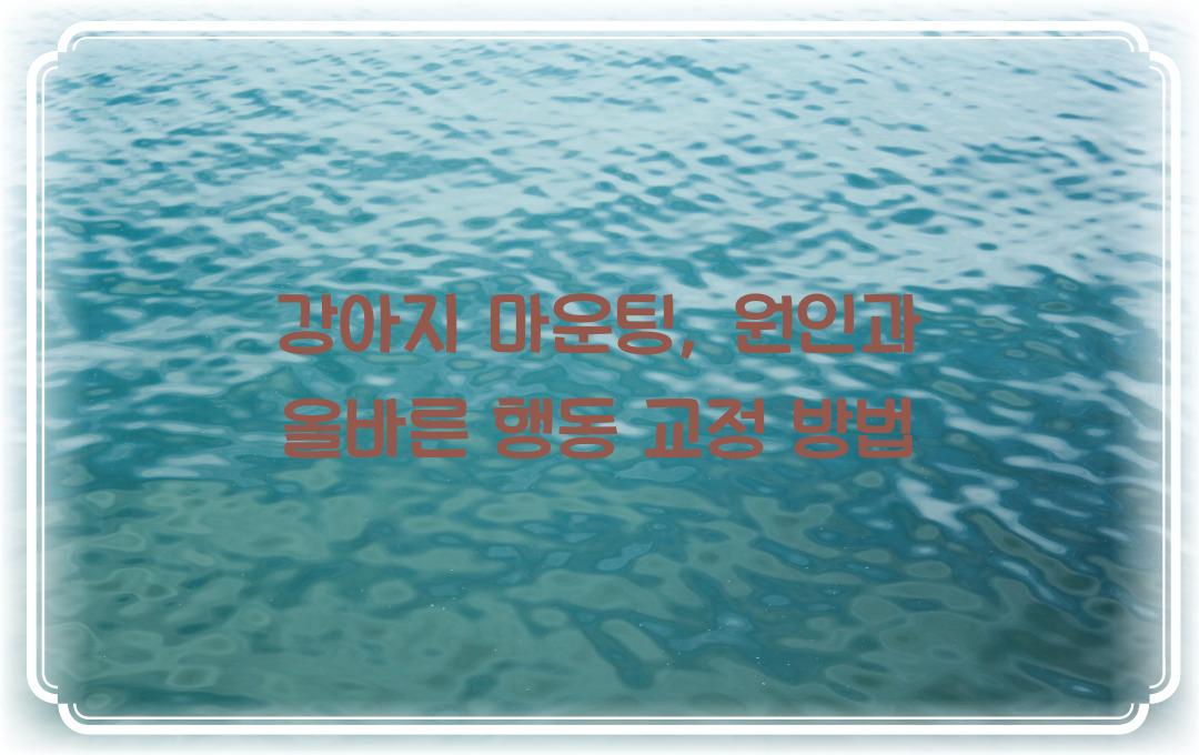 강아지 마운팅: 올바른 행동 교정 방법