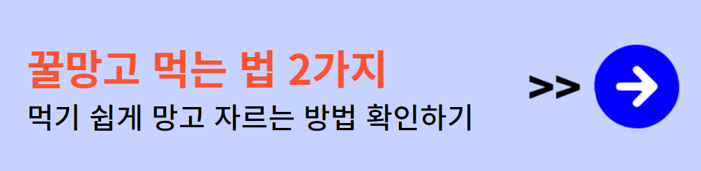 망고 먹는법