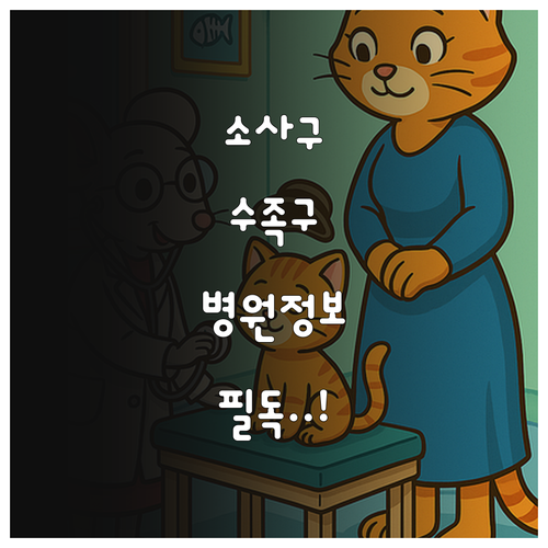 부천 소사구 수족구 병원 정보와 증상..