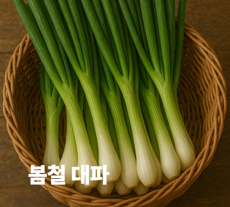 감염예방과 상처치유 변비완화 혈압조절 봄철 대파 효능 영양성분