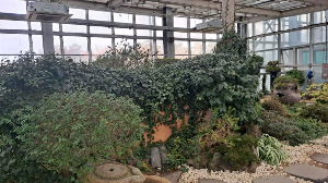 화성_우리꽃식물원_국화전시회