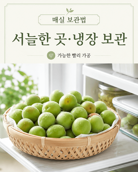 매실수확시기