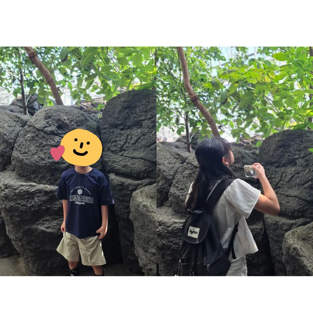 가이유칸 수족관에 아이들