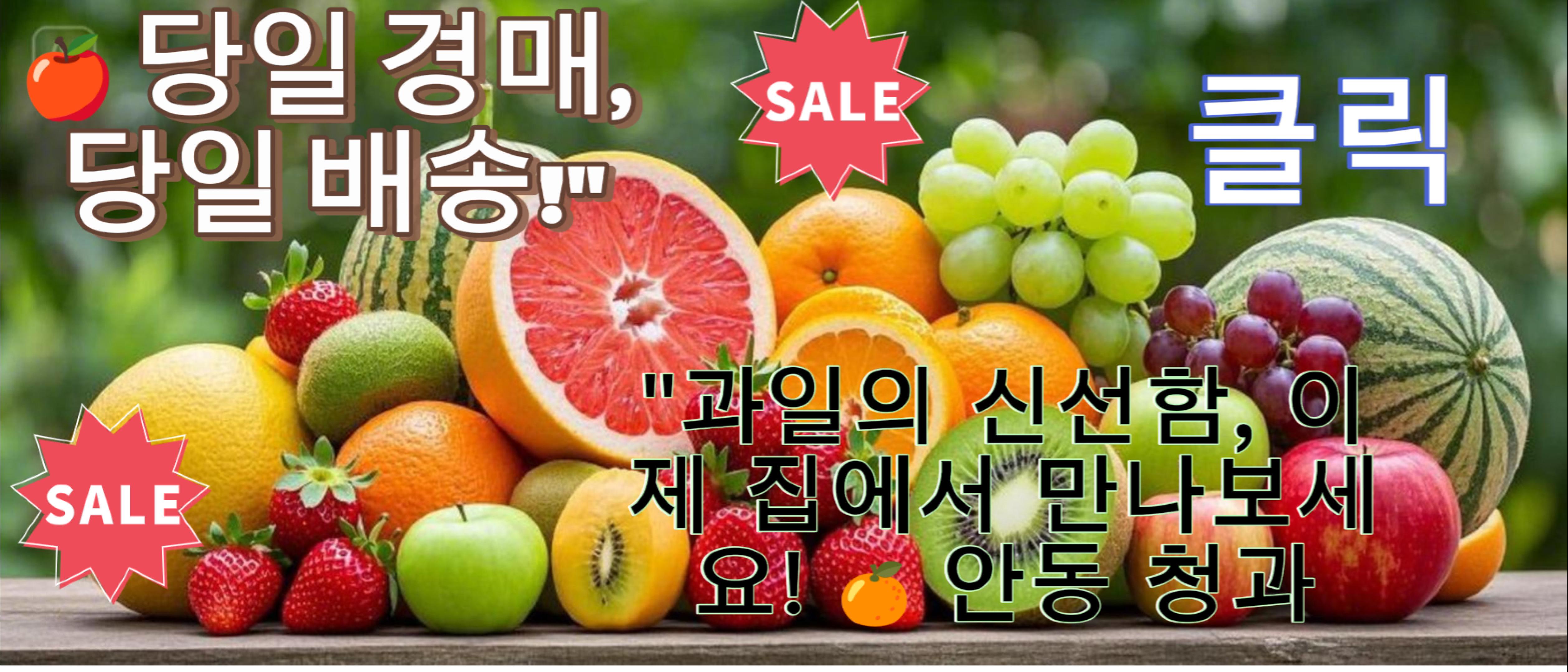 안동청과 100번