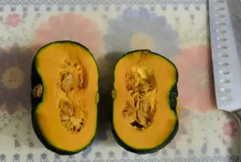 단호박 수확시기와 따는 방법 지역별로 쉽게 알아보는 정보_11