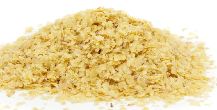 옥타코사놀 효능 부작용 복용법 및 옥타코사놀 음식 영양제 추천