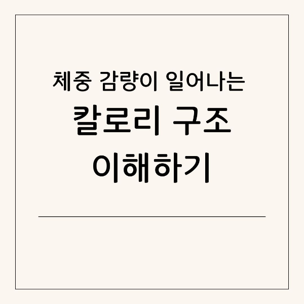 체중 감량이 일어나는 칼로리 구조 이해하기