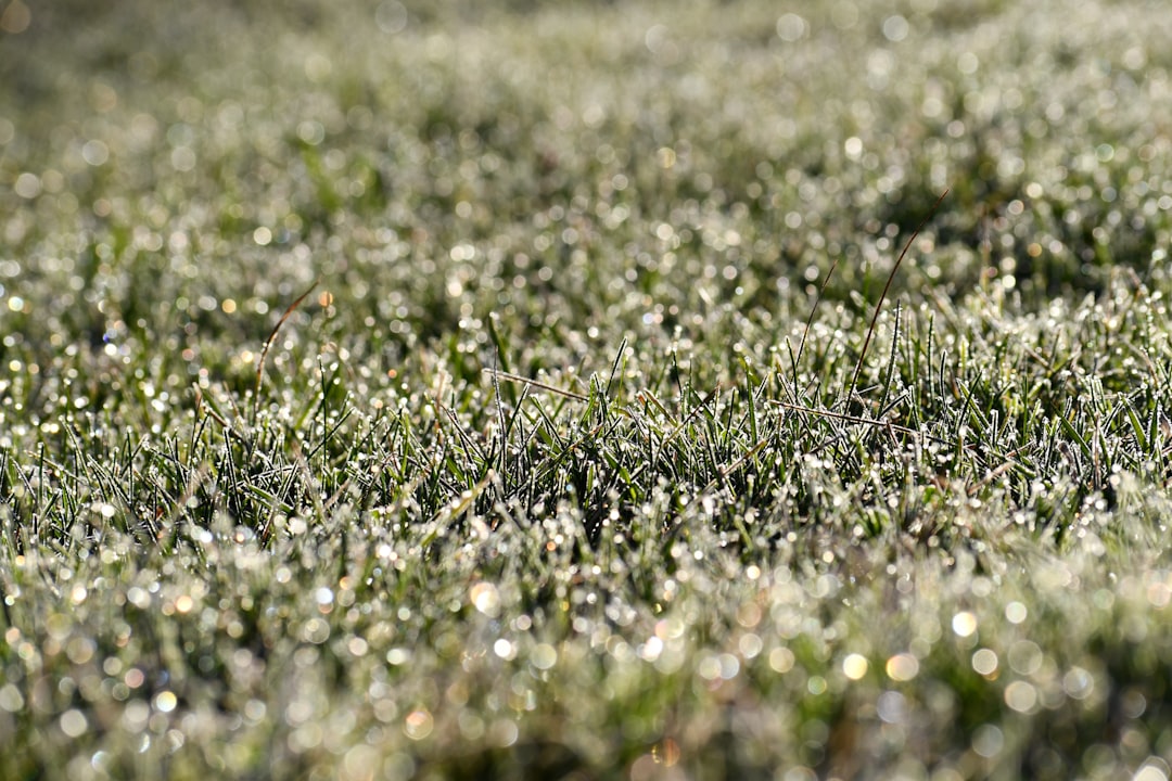 Coating