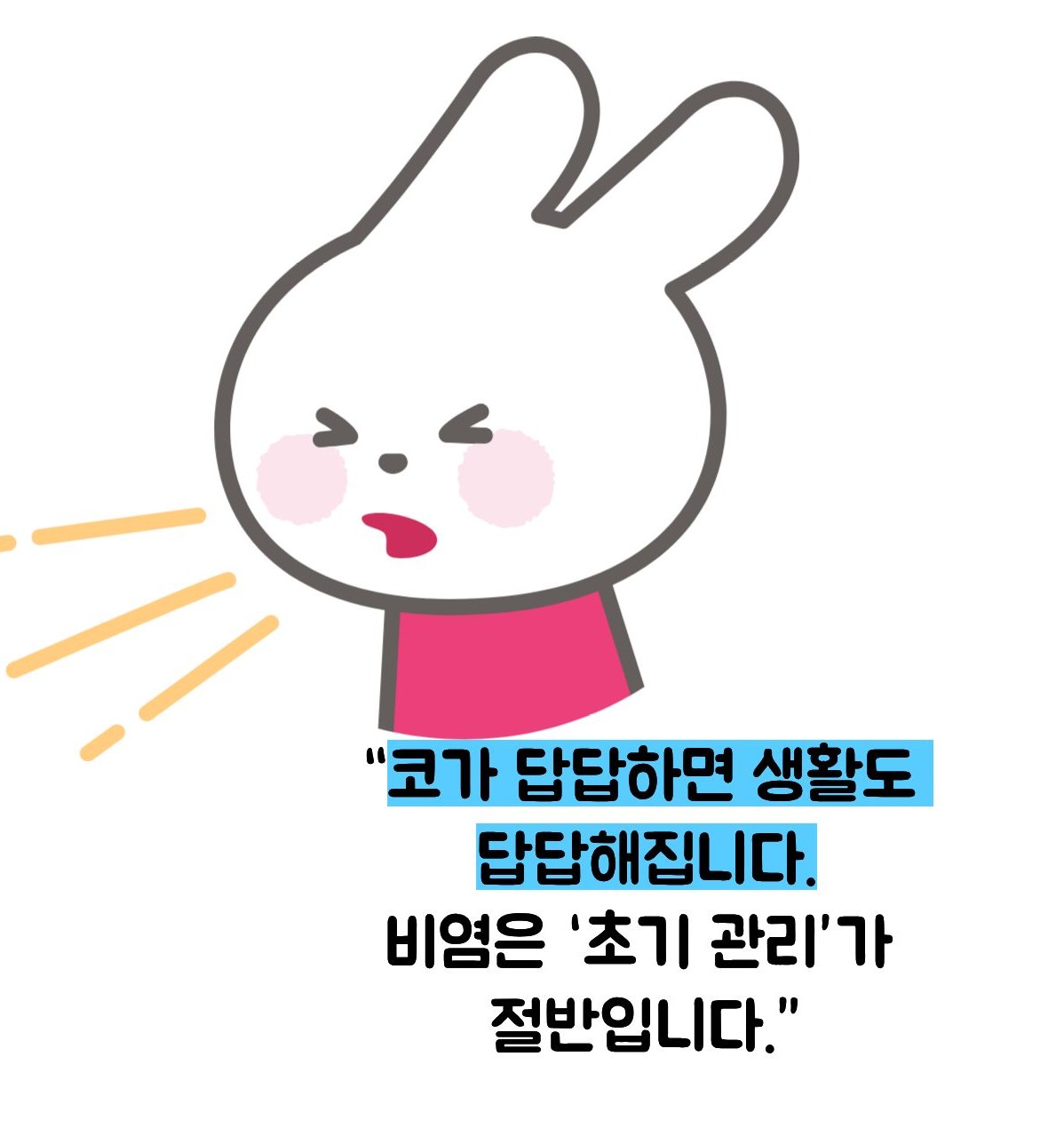 비염 알레르기 고치는방법