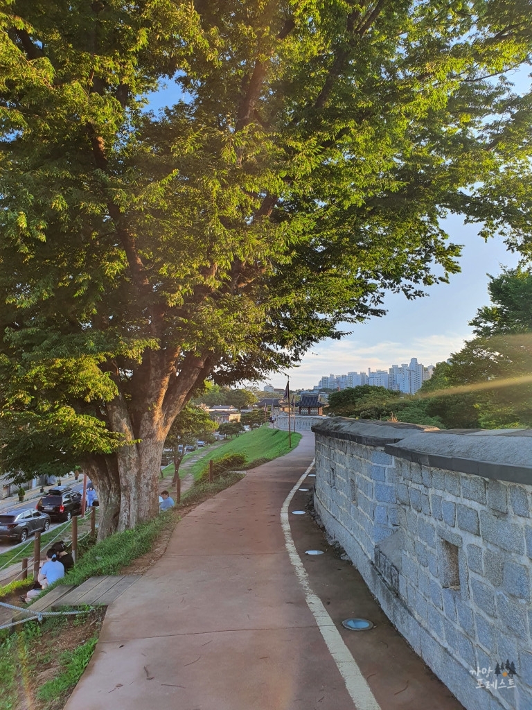 수원화성 햇살