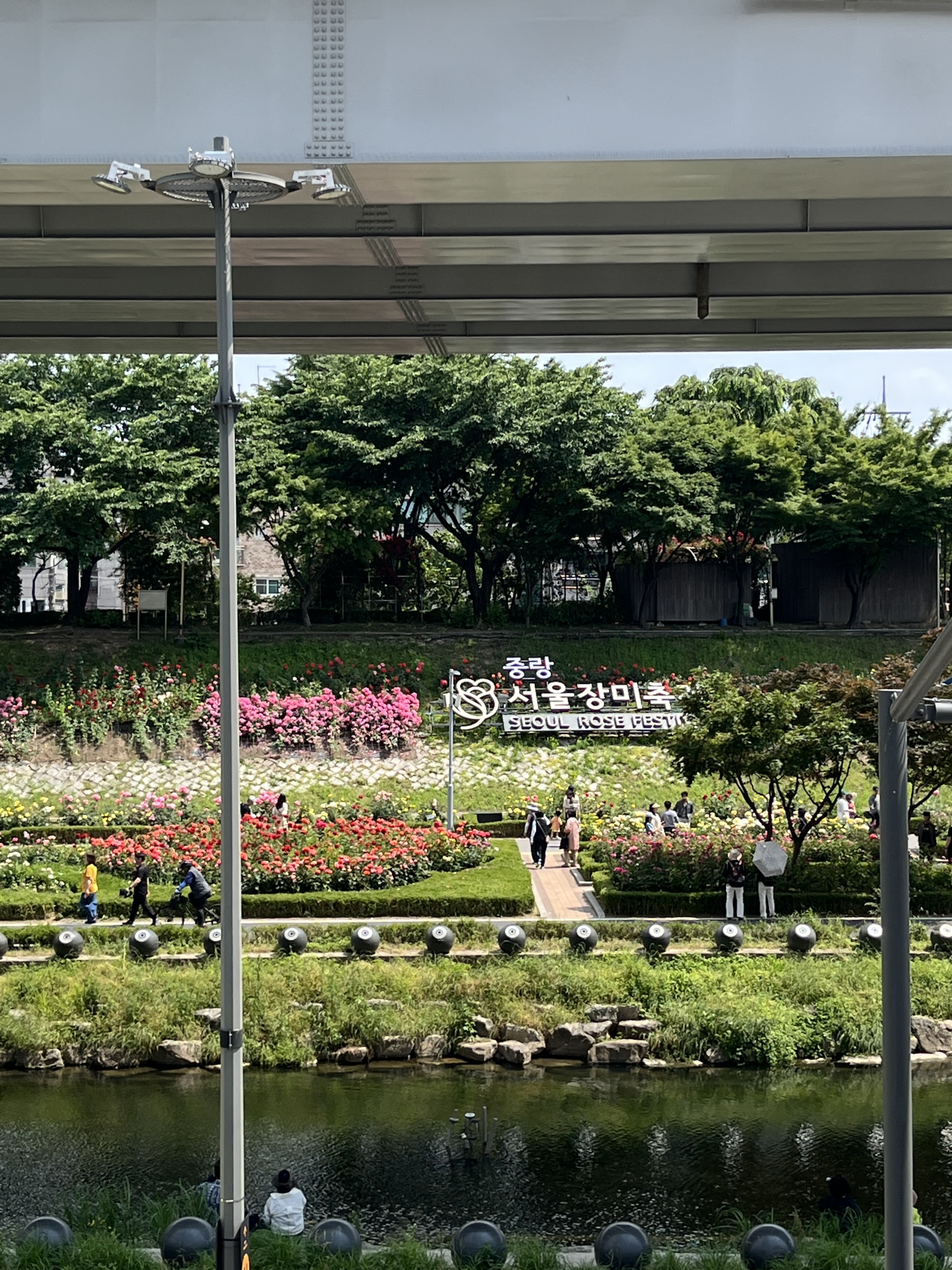 중랑장미공원