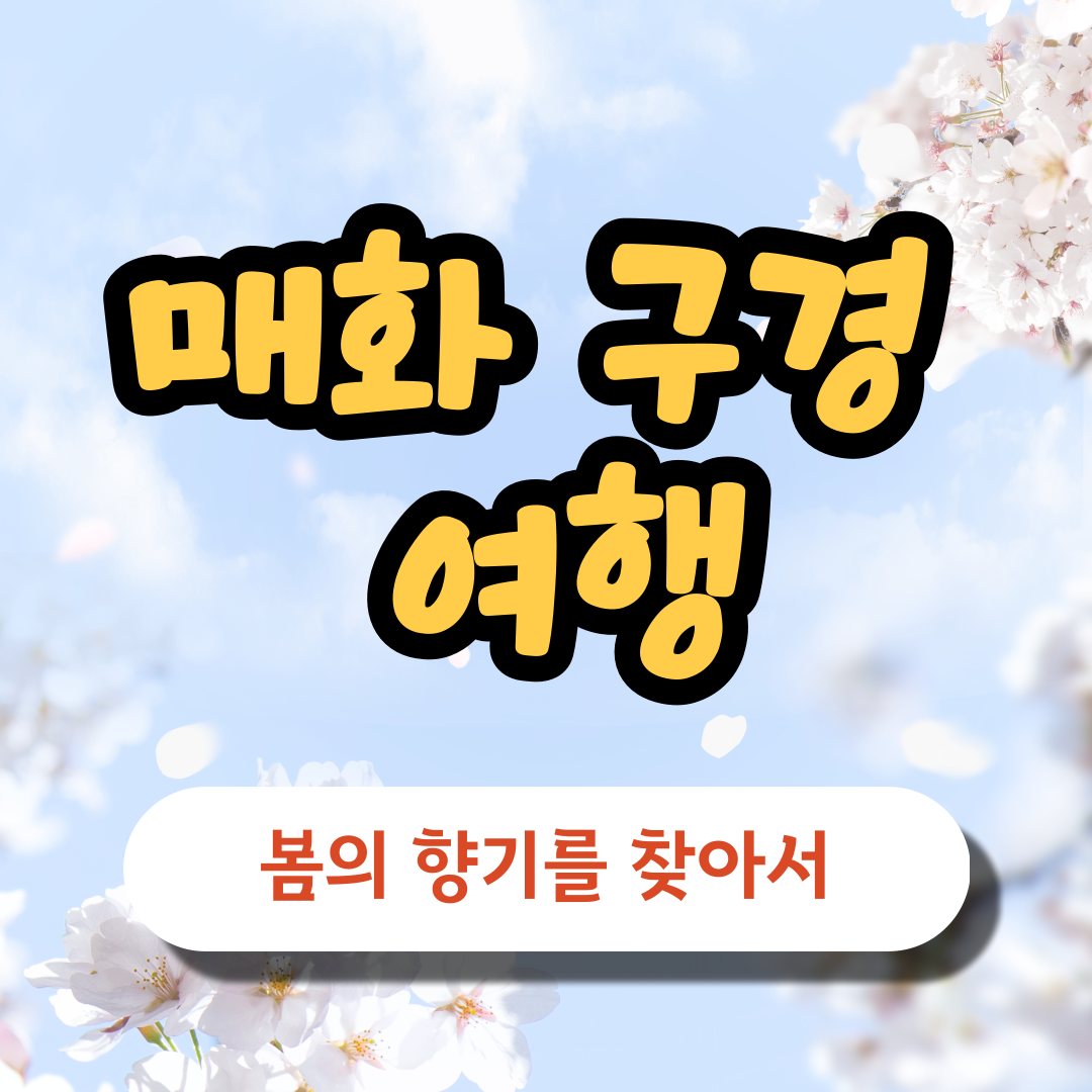 매화 구경 여행 가기 - 봄의 향기를 찾아 떠나는 여행