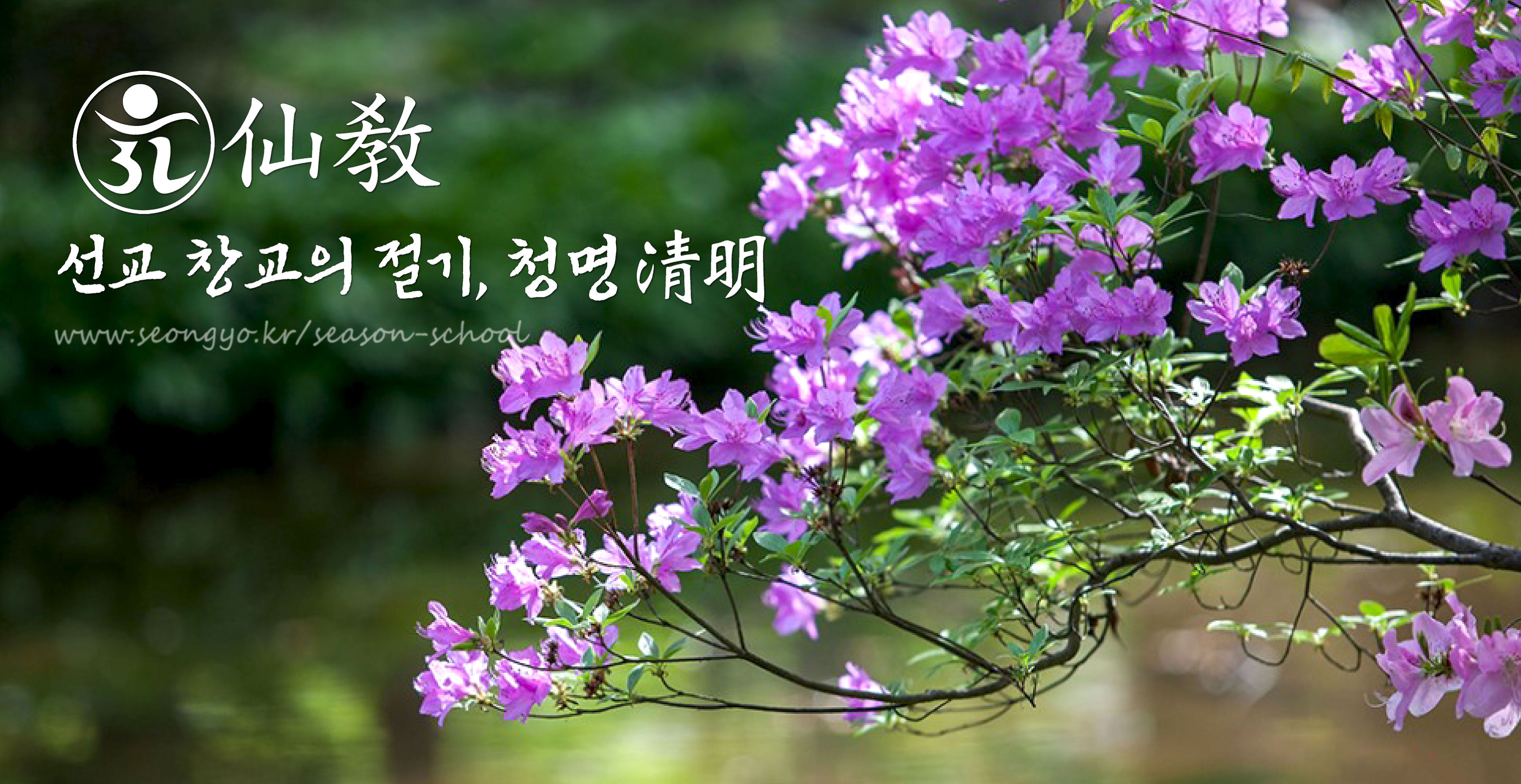 신성의 숲, 선교총림 선림원, 천지인 명상, 숲명상, 24절기, 청명