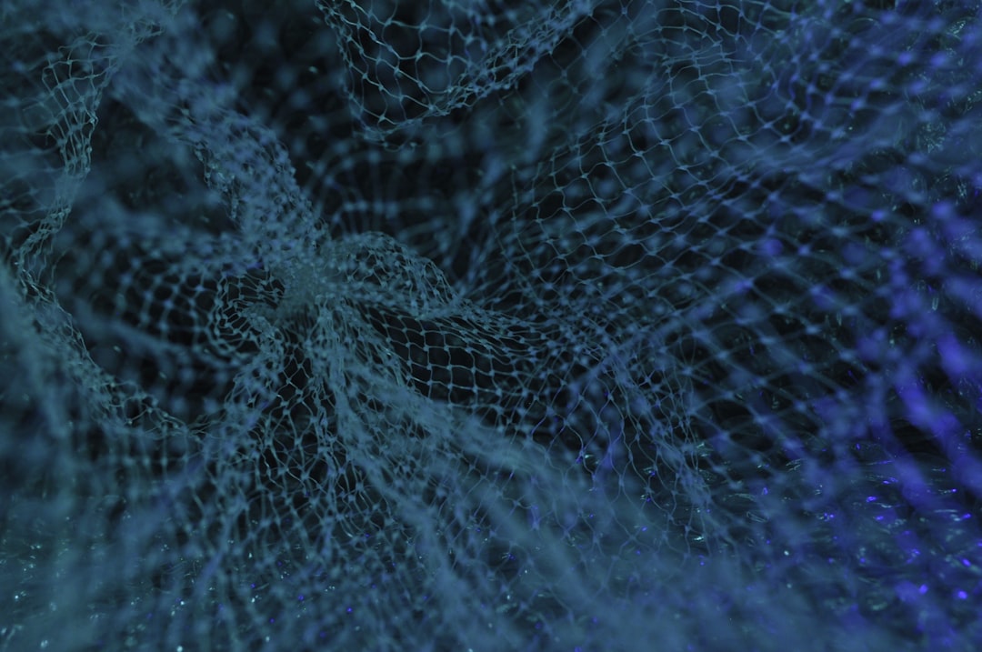 'Network'