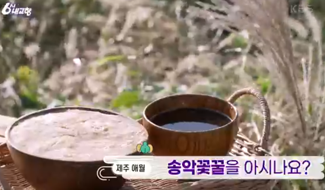 제주 송악꽃꿀