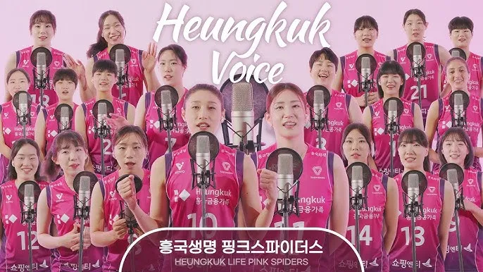 2025 2026 시즌 흥국생명 배구단 선수 명단 및 연봉 계약 FA 외국인 선수 정보 로스터 분석_8