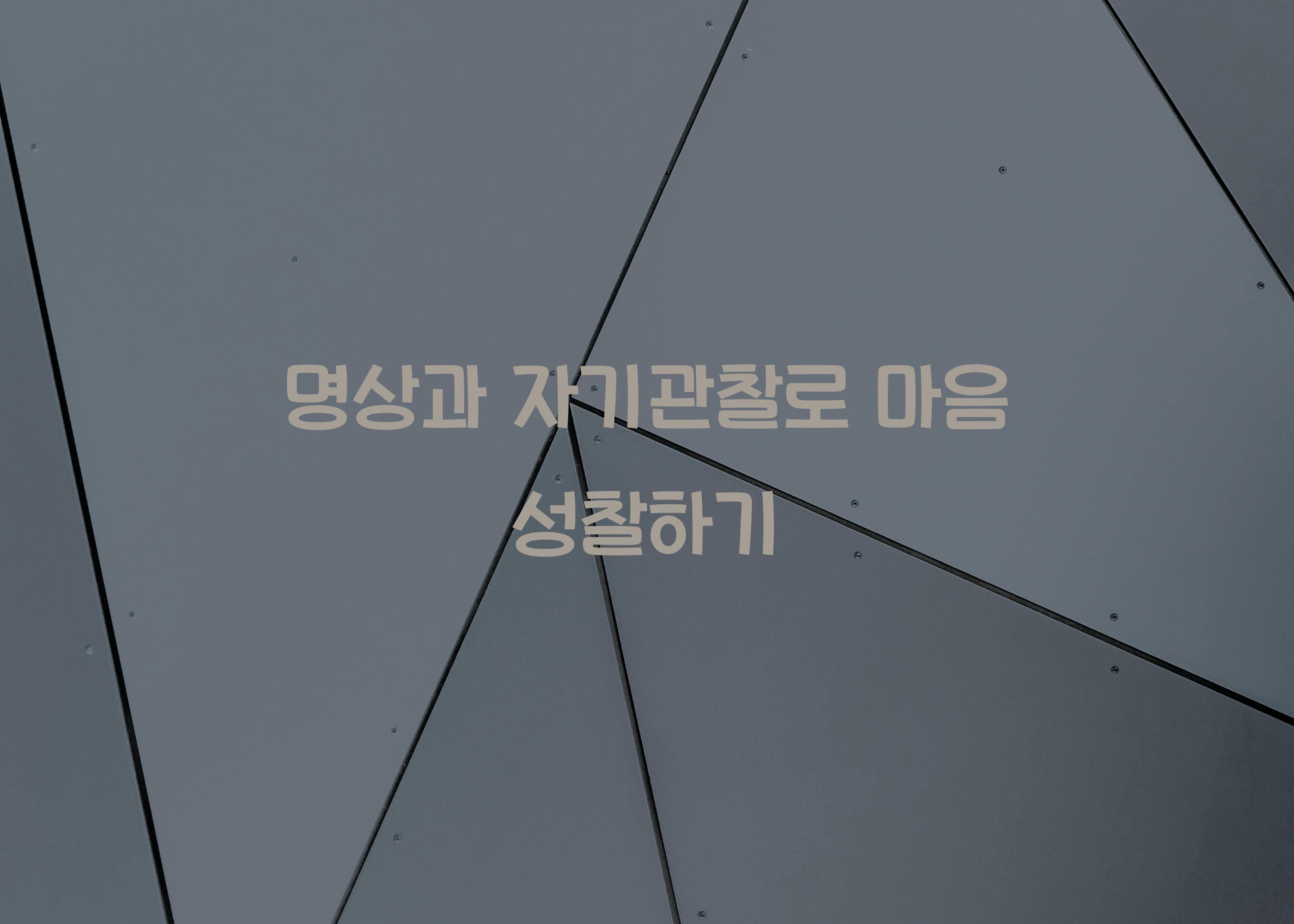 명상과 자기관찰