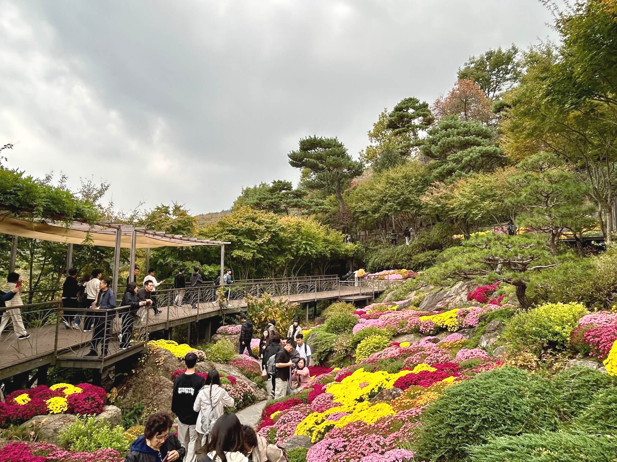 2024년 화담숲 10월 말 가을 단풍 암석&middot;하경정원3