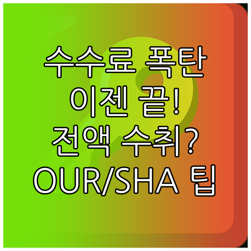 송금 수취액 전액을 보장받는 OUR ..