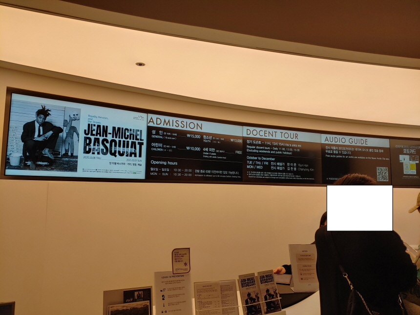 장미쉘바스키아