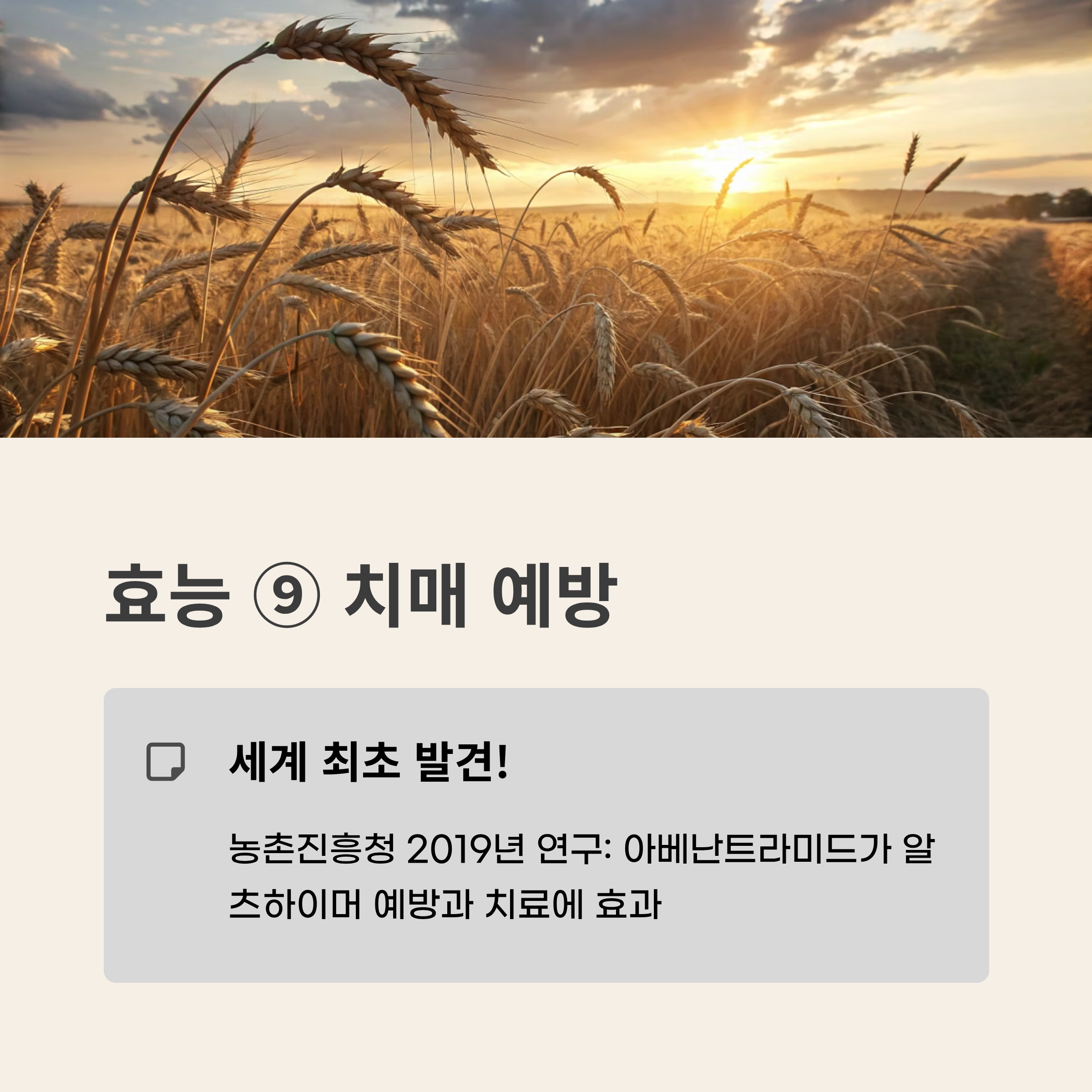 귀리 효능과 부작용 2025 완벽 가이드 – 슈퍼푸드 효능과 숨겨진 함정 총정리!