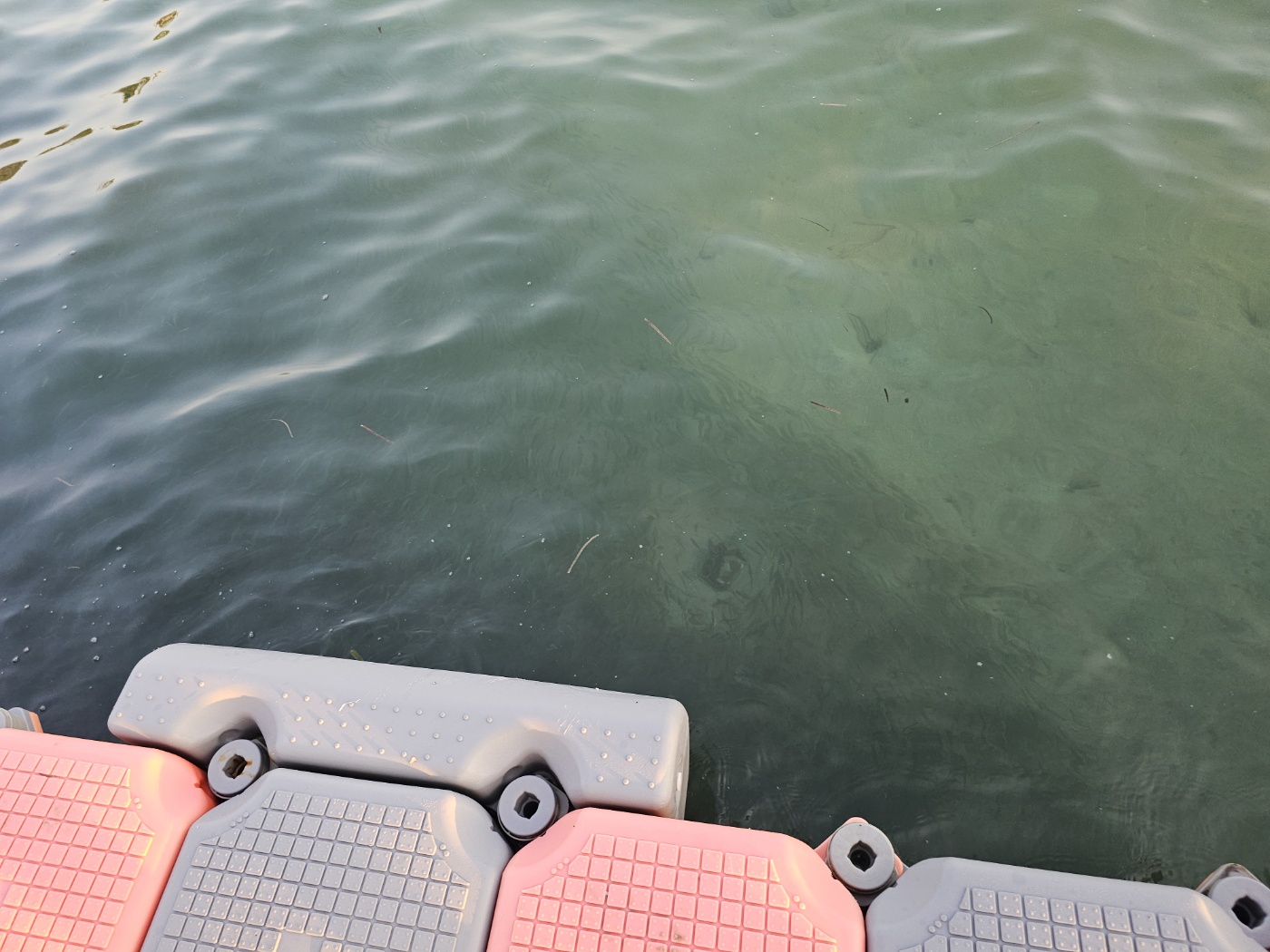 선셋타운+Kiss Of The Sea show 관람 후기