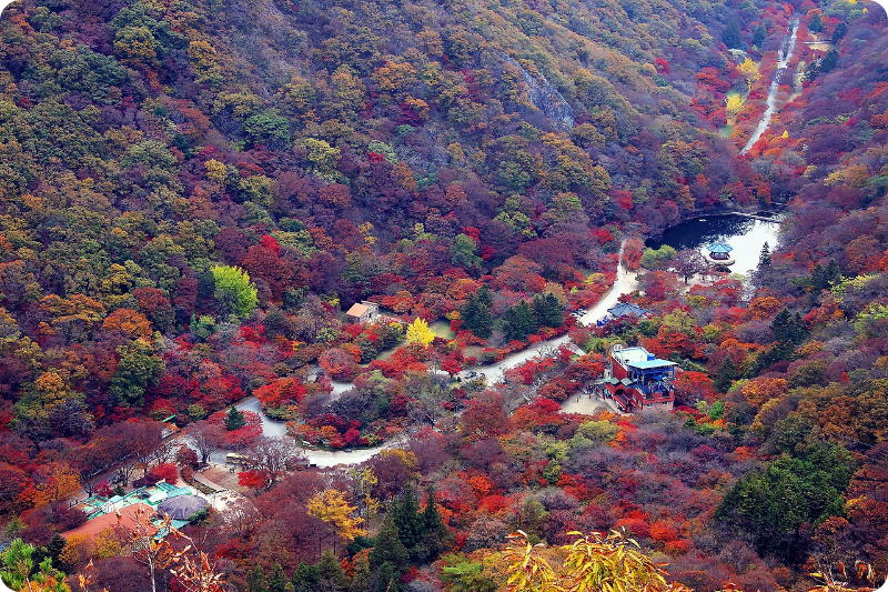 내장산국립공원(케이블카) 이미지/출처: 정읍시 문화관광