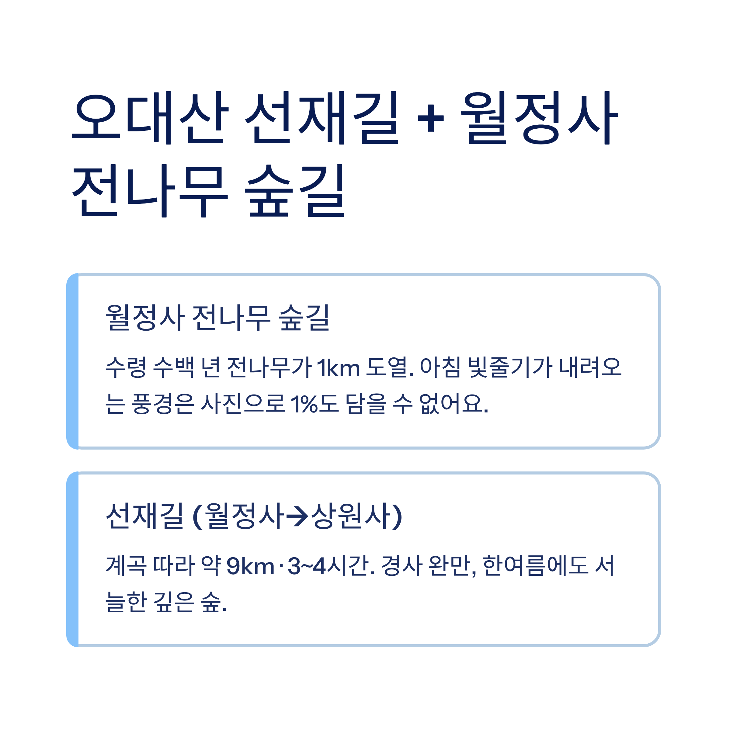 강릉 근교 산책 달리기 트레킹 코스 추천 ❘ 바다와 소나무 숲 사이를 걷는 법