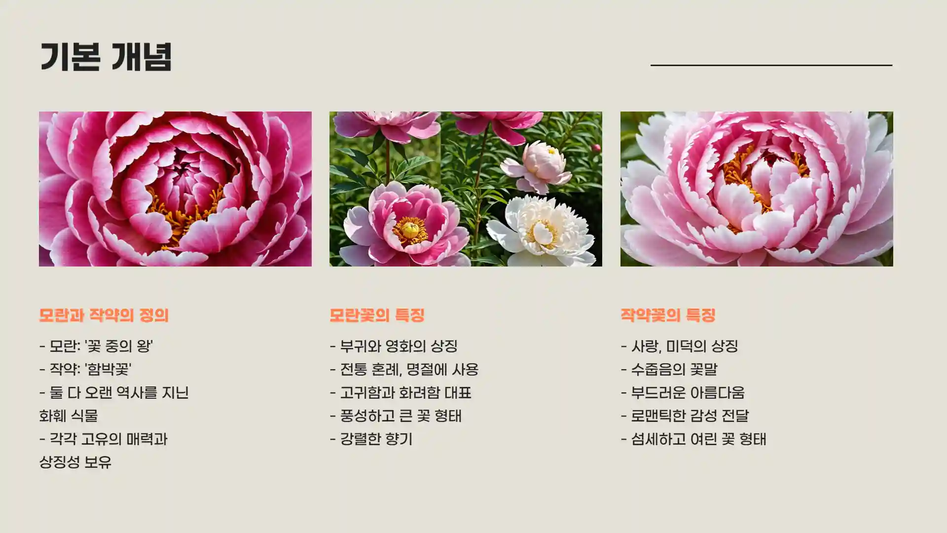 모란꽃과 작약꽃