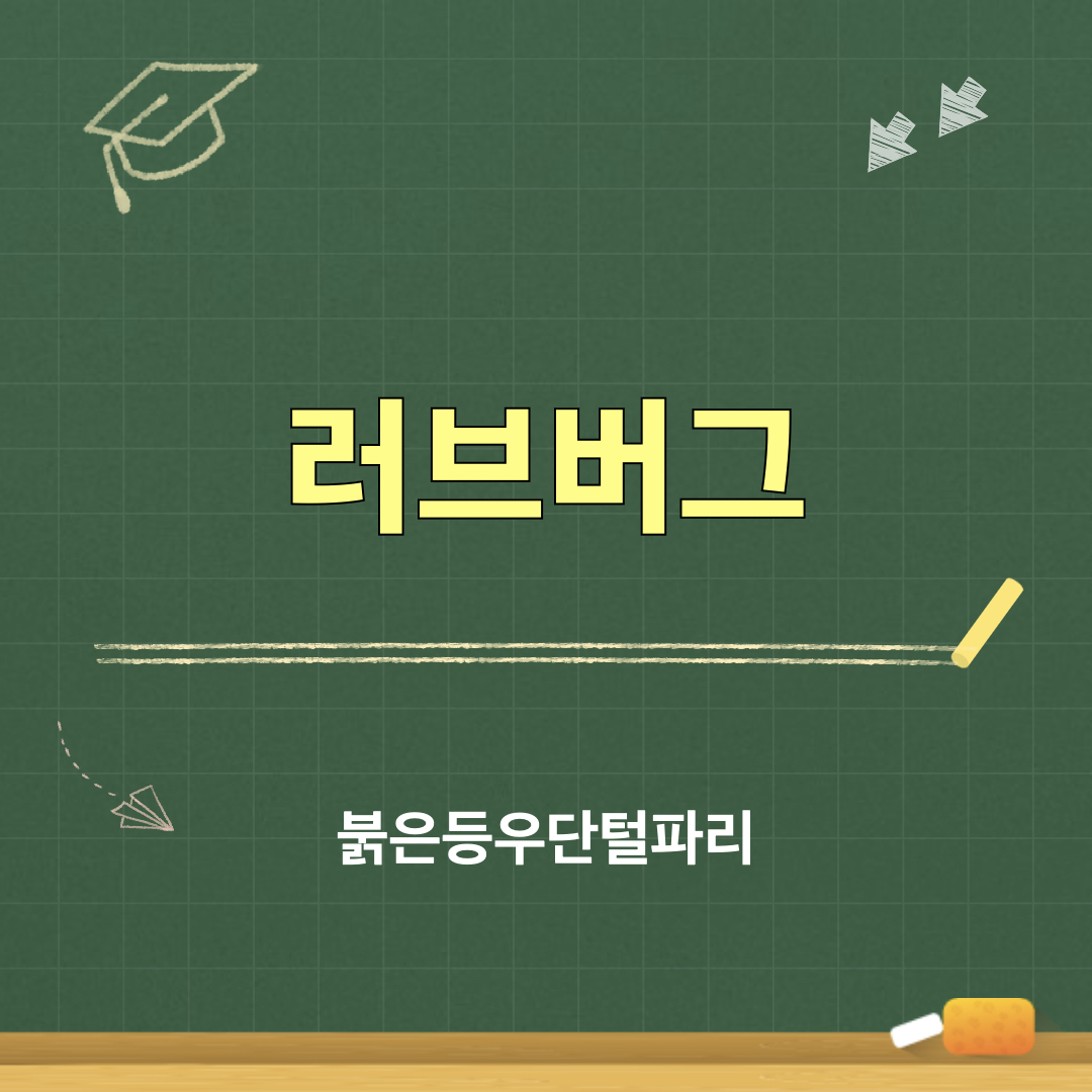 러브버그_붉은등우단털파리