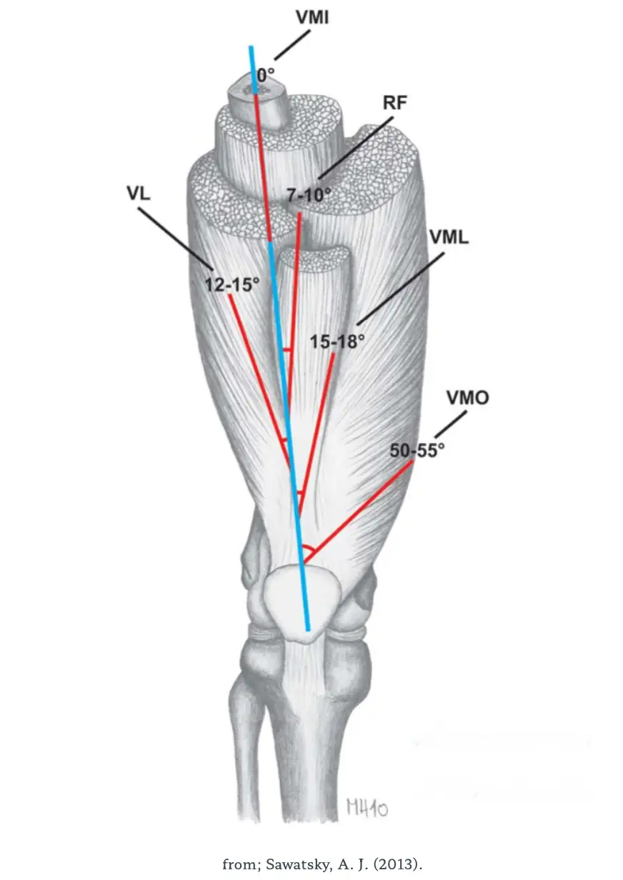 슬개대퇴통증증후군: 원인, 증상 및 효과적인 관리 방법.