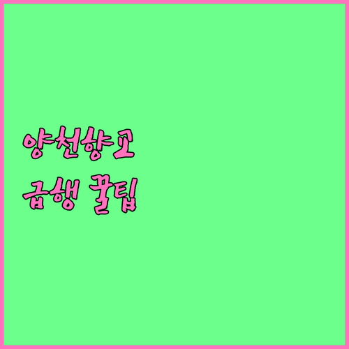 양천향교역 급행 환승 방법 및 평일 ..