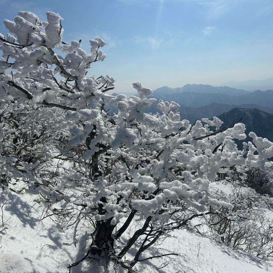 덕유산 &amp; 머루와인동굴