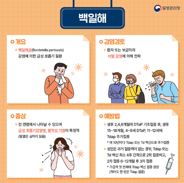 백일해 증상,검사하기,치료하기,예방하기