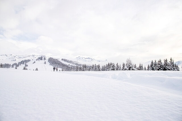 2023-2024-전국-스키장-개장일-예약방법