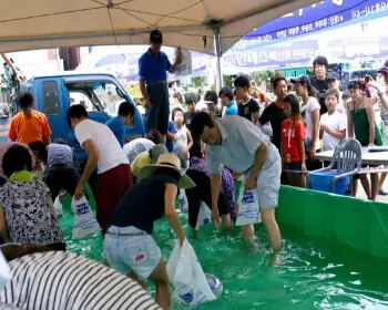 삼천포 전어축제_23
