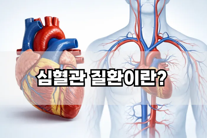 심혈관 질환이란