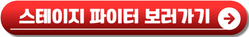 스테이지 파이터 공연