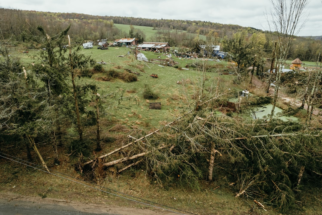 damage