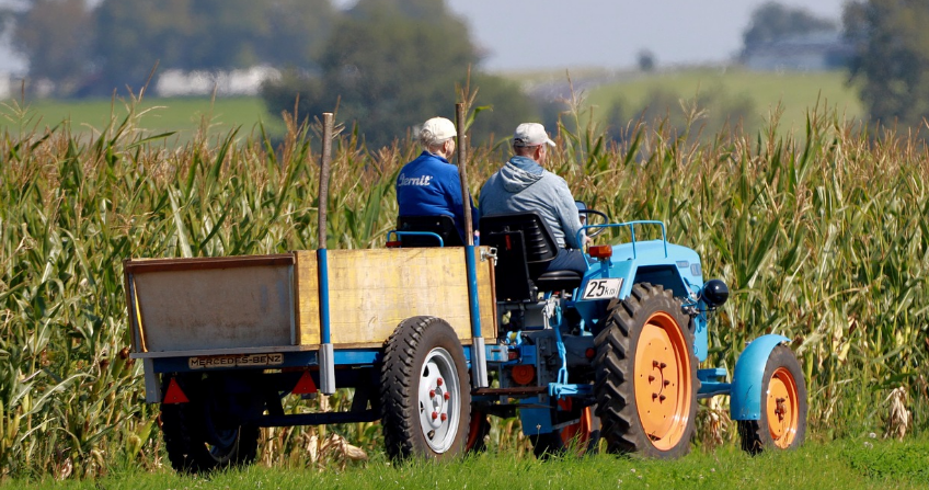 마을공동체 사업의 종류 총정리 – 어떤 활동이 있을까?